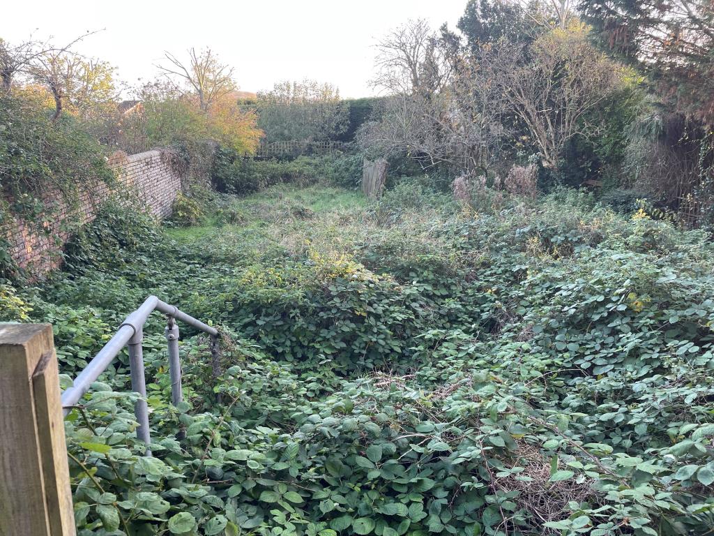 Lot: 99 - HOUSE ARRANGED AS TWO FLATS WITH LARGE GARDENS - Historic photo of overgrown rear garden with view of Downs